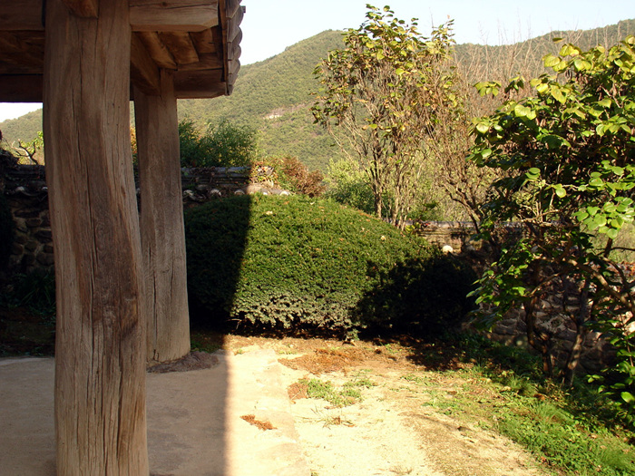 hahea-1 047.jpg